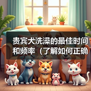 贵宾犬洗澡最佳时间和频率全攻略(图2)