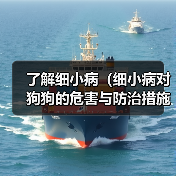 了解细小病(细小病对狗狗的危害与防治措施)(图3) 细小病对狗狗的危害与防治措施全攻略(图3)