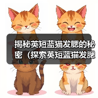 揭秘英短蓝猫发腮的秘密(探索英短蓝猫发腮的原因和方法)(图4) 揭秘英短蓝猫发腮的秘密全攻略(图4)