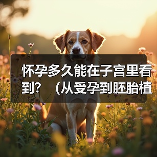 怀孕多久看到胎儿全攻略