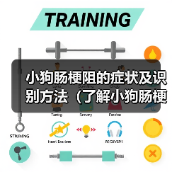 小狗肠梗阻症状识别方法全攻略