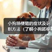 小狗肠梗阻的症状及识别方法(了解小狗肠梗阻的相关症状,及早发现并求助兽医)(图3) 小狗肠梗阻症状识别方法全攻略(图3)