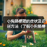 小狗肠梗阻的症状及识别方法(了解小狗肠梗阻的相关症状,及早发现并求助兽医)(图2) 小狗肠梗阻症状识别方法全攻略(图2)