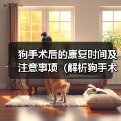 狗手术后的康复时间及注意事项(解析狗手术后恢复的时间长度及需要注意的事项)(图2) 狗术后恢复全攻略(图2)