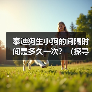 泰迪狗生小狗间隔时间全攻略