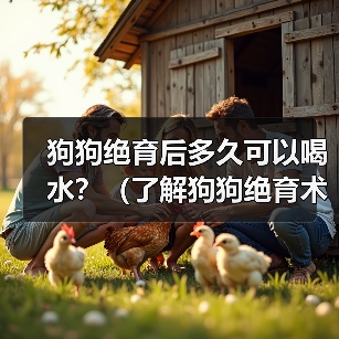 狗狗绝育后多久可以喝水?(了解狗狗绝育术后的饮水需求)(图2) 狗狗绝育后多久喝水全攻略(图2)