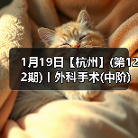 外科手术实战班全攻略