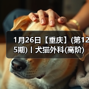 犬猫外科高阶实操班技术核心技巧
