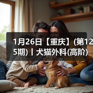 犬猫外科高阶实操班技术核心技巧(图4)