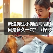 泰迪狗生小狗的间隔时间是多久一次?(探寻泰迪狗繁殖周期的奥秘)(图4) 泰迪狗生小狗间隔时间全攻略(图4)
