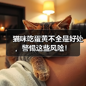 猫咪吃蛋黄好处风险全攻略(图4)