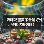猫咪吃蛋黄好处风险全攻略