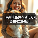 猫咪吃蛋黄好处风险全攻略(图3)