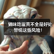 猫咪吃蛋黄不全是好处,警惕这些风险!(图3) 猫咪吃蛋黄好处多风险也不少全攻略(图3)