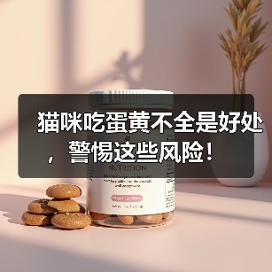 猫咪吃蛋黄好处风险全攻略(图2)