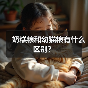 奶糕粮和幼猫粮有什么区别?(图3) 奶糕粮幼猫粮区别全攻略(图3)