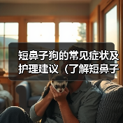 短鼻子狗的常见症状及护理建议(了解短鼻子狗的身体特征和健康问题,保护它们的呼吸和舒适度)(图4) 短鼻子狗常见症状及护理建议全攻略(图4)