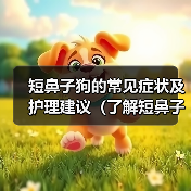 短鼻子狗常见症状及护理建议全攻略