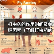 打虫药作用时间及关键因素全攻略