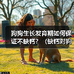 狗狗生长发育期如何保证不缺钙?(缺钙对狗狗生长发育的影响及预防方法)(图1) 狗狗生长发育期补钙全攻略(图1)