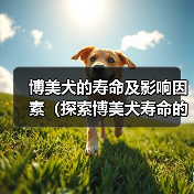 博美犬的寿命及影响因素(探索博美犬寿命的关键因素及延长寿命的方法)(图2) 博美犬寿命影响因素及延长方法全攻略(图2)
