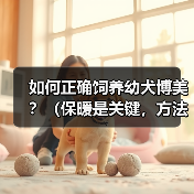 如何正确饲养幼犬博美?(保暖是关键,方法很重要)(图4) 幼犬博美正确饲养方法保暖是关键全攻略(图4)
