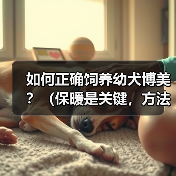 如何正确饲养幼犬博美?(保暖是关键,方法很重要)(图3) 幼犬博美正确饲养方法保暖是关键全攻略(图3)