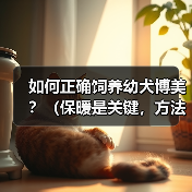 如何正确饲养幼犬博美?(保暖是关键,方法很重要)(图2) 幼犬博美正确饲养方法保暖是关键全攻略(图2)