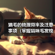 猫毛的梳理频率及注意事项(掌握猫咪毛发梳理的正确节奏,打造健康亮丽的外观)(图3) 猫毛梳理频率及注意事项全攻略(图3)