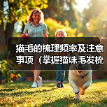 猫毛的梳理频率及注意事项(掌握猫咪毛发梳理的正确节奏,打造健康亮丽的外观)(图4) 猫毛梳理频率及注意事项全攻略(图4)