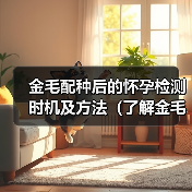 金毛配种后的怀孕检测时机及方法(了解金毛配种成功与否的关键时刻,从早期孕检开始)(图3) 金毛配种怀孕检测时机方法全攻略(图3)