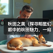 秋田之美(探寻明星们眼中的秋田魅力,一窥明星的心境与秋田的风采)(图2) 明星眼中秋田魅力全攻略(图2)