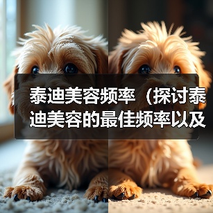 泰迪美容频率(探讨泰迪美容的最佳频率以及关键因素)(图2) 泰迪美容频率全攻略(图2)