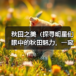 秋田之美(探寻明星们眼中的秋田魅力,一窥明星的心境与秋田的风采)(图3) 明星眼中秋田魅力全攻略(图3)
