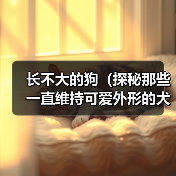 长不大的狗(探秘那些一直维持可爱外形的犬种)(图3) 长不大的狗全攻略(图3)