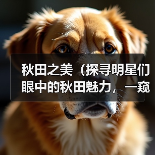 明星眼中秋田魅力全攻略