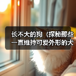 长不大的狗(探秘那些一直维持可爱外形的犬种)(图4) 长不大的狗全攻略(图4)