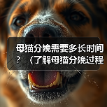 母猫分娩过程及注意事项全攻略