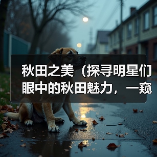 秋田之美(探寻明星们眼中的秋田魅力,一窥明星的心境与秋田的风采)(图4) 明星眼中秋田魅力全攻略(图4)