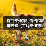 泰迪狗价格影响因素全攻略