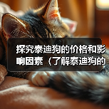 探究泰迪狗的价格和影响因素(了解泰迪狗的市场价格及影响泰迪狗价格的因素)(图2) 泰迪狗价格影响因素全攻略(图2)