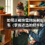 如何正确给雪纳瑞剃胎毛(掌握适当的频率和方法,让你的雪纳瑞毛发保持健康亮丽)(图3) 雪纳瑞剃胎毛全攻略(图3)