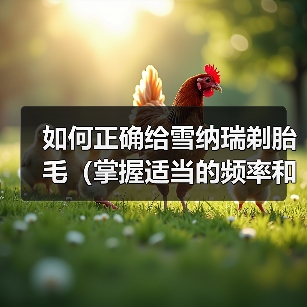 雪纳瑞剃胎毛全攻略