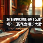 金毛的尴尬期是什么时候?(揭秘金毛长大后的成长阶段及关键问题)(图4) 金毛尴尬期全攻略(图4)