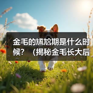 金毛的尴尬期是什么时候?(揭秘金毛长大后的成长阶段及关键问题)(图3) 金毛尴尬期全攻略(图3)