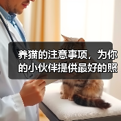 养猫的注意事项,为你的小伙伴提供最好的照顾(7个方面为您详解猫咪养护法)(图3) 养猫注意事项全攻略(图3)