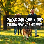 猫的多功能之谜(探索猫咪神奇的能力及其意义)(图3) 猫咪神奇功能全攻略(图3)