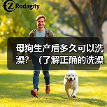 母狗生产后多久可以洗澡?(了解正确的洗澡时机,呵护母狗的健康)(图2) 母狗生产后多久洗澡全攻略(图2)