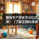 母狗生产后多久可以洗澡?(了解正确的洗澡时机,呵护母狗的健康)(图3) 母狗生产后多久洗澡全攻略(图3)
