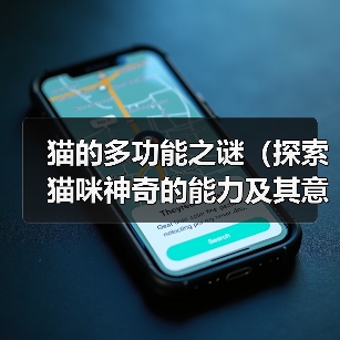 猫的多功能之谜(探索猫咪神奇的能力及其意义)(图4) 猫咪神奇功能全攻略(图4)